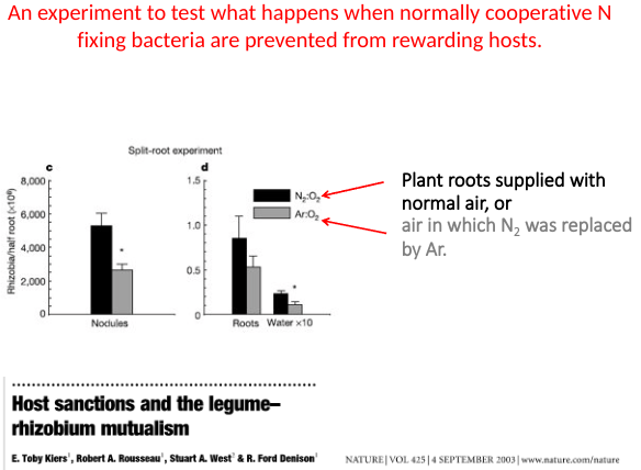 <p><span>Number of nodules decline when they cannot fix N so fitness affected.</span></p>