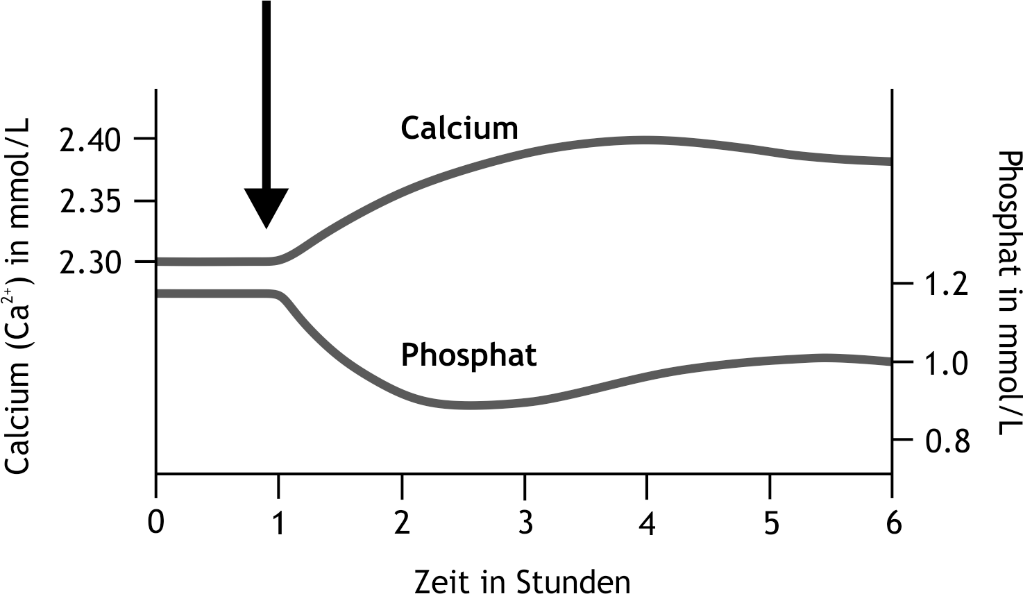 <p>59. From the time indicated by the arrow, a substance is infused in an experimental setting. The approximate concentrations of calcium and phosphate in the blood plasma are shown.</p><p>Based on the course of these concentrations, the substance is most likely:</p><p>A. Calcitonin</p><p>B. Calcitriol</p><p>C. An inhibitor of the Na⁺, K⁺, 2Cl⁻ symporter in the loop of Henle</p><p>D. FGF23</p><p>E. Parathyroid hormone</p>