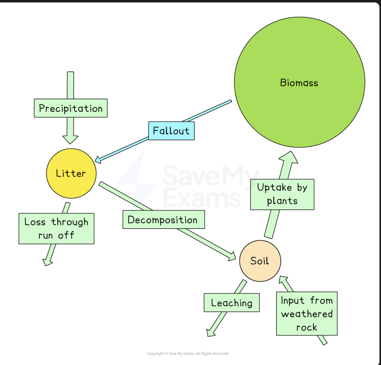 <p>-the biomass store is large because of the great height of trees and the dense undergrowth beneath them. the soil store is large too because there is always plenty of humus.</p><p>-the high flow rates between litter, soil and biomass stores reflect the vigorous cycle of new growth that takes place each year. the forest also loses a lot of nutrients each year, via leaching during episodes of heavy rainfall</p>