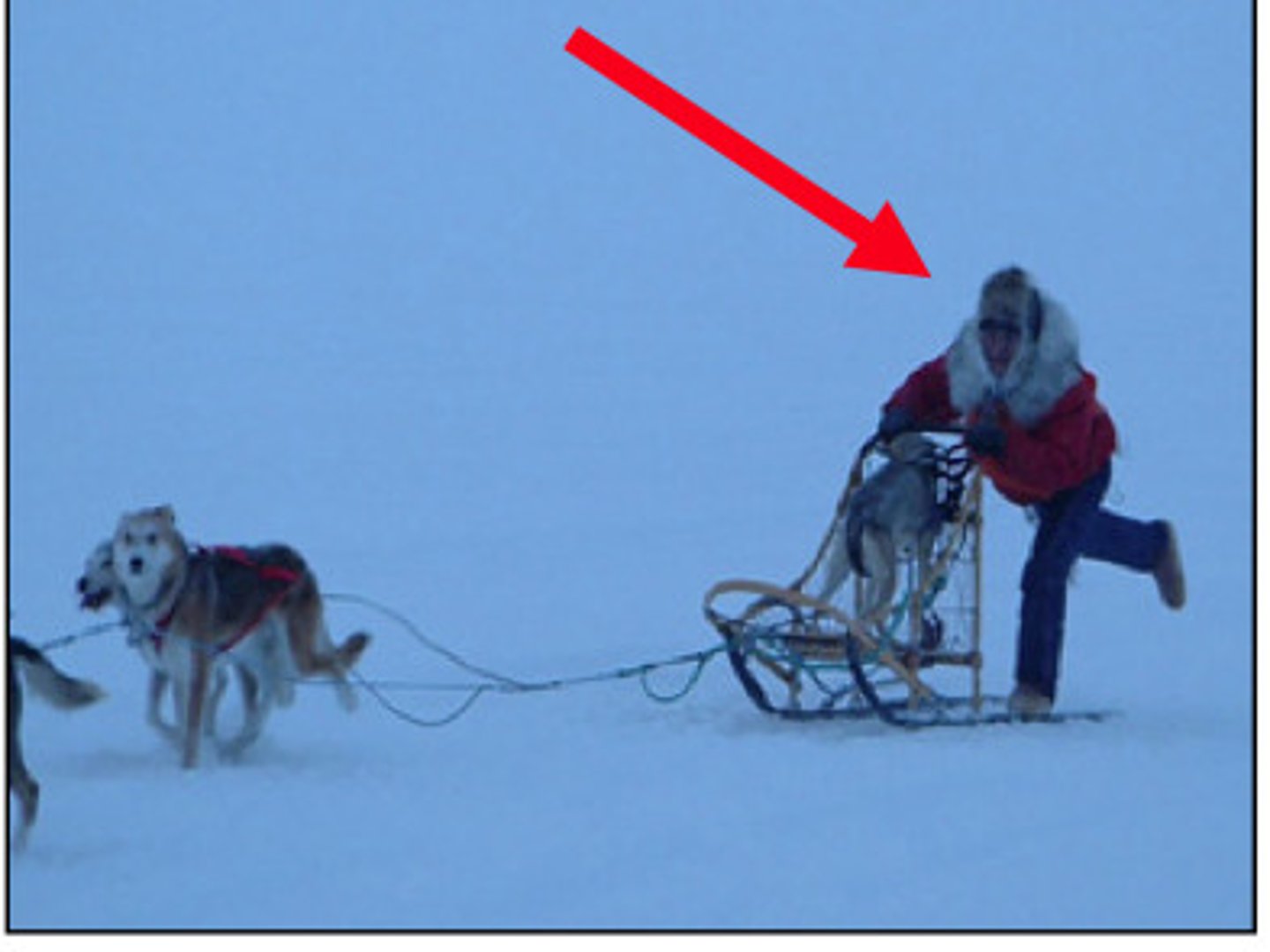 <p>/ˈmʌʃə/ • Noun • A person who drives a dogsled team. • Người điều khiển xe trượt tuyết kéo bởi chó. • The musher skillfully guided the dogs through the snow.</p>