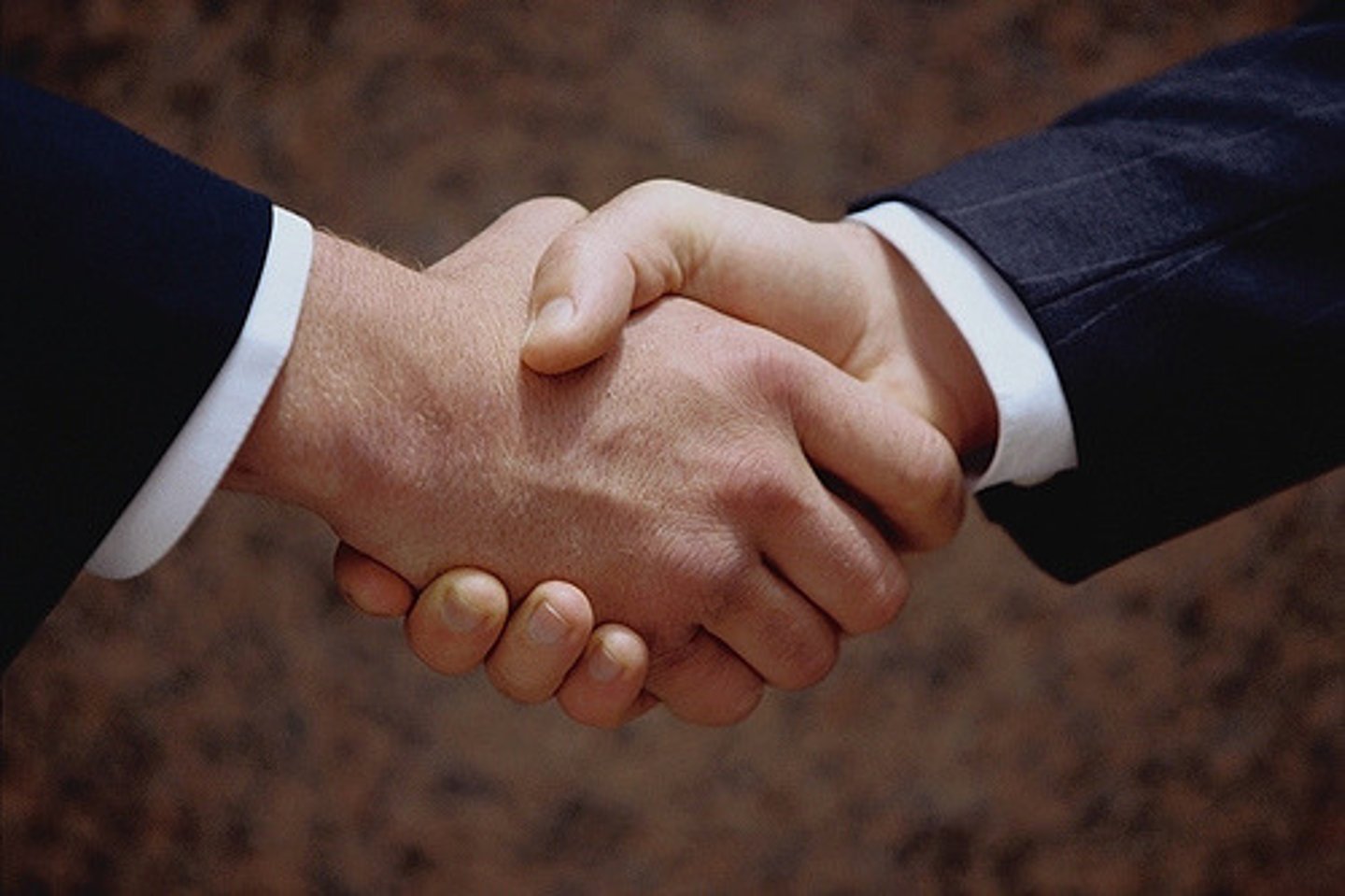 <p>an agreement with God</p>
