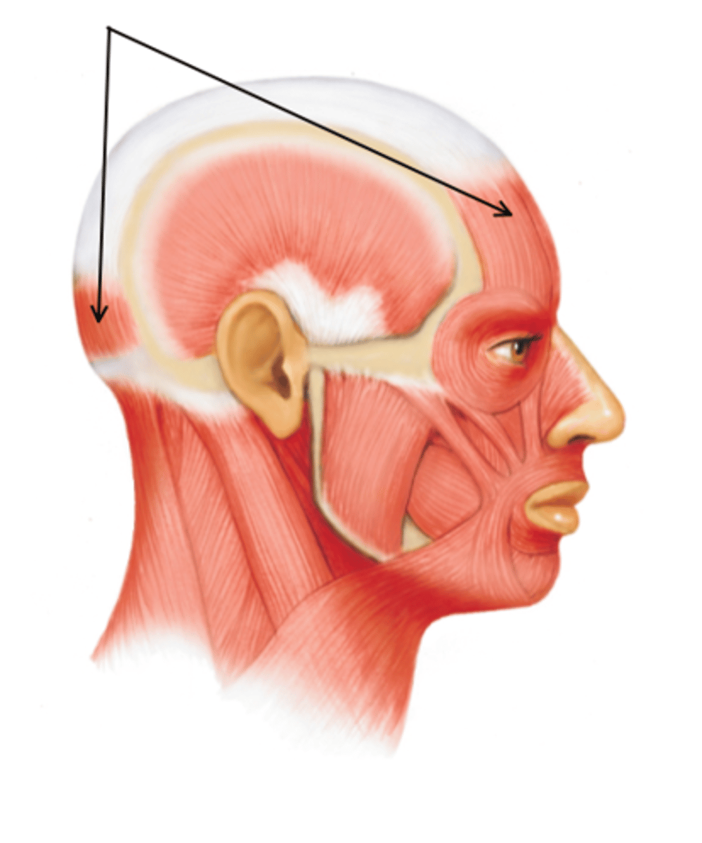<p>what is this structure?</p>