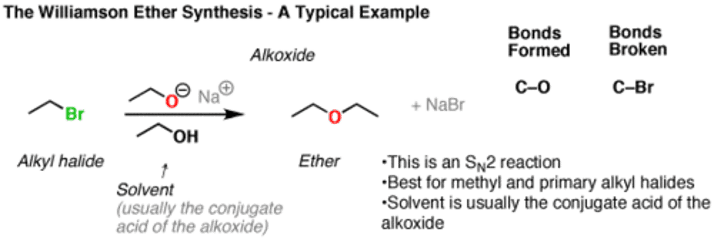 <p>Sodium phenoxide and bromomethane</p>