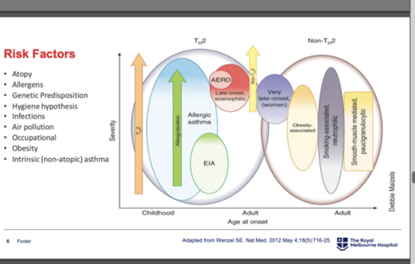 <p>1. TH2 high endotype (more eosinophils)</p><p>- early onset allergic</p><p>- late onset eosinophilic</p><p>- AERD</p><p>- exercise induced</p><p>2. TH2 low endotype</p><p>- asthma with obesity</p><p>- smoking associated</p><p>- very late onset</p>