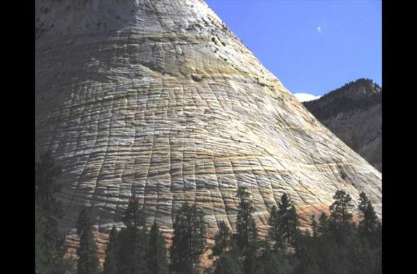 The Checkerboard Mesa in Zion National Park  is a good example of:

a.       karst topography

b.      solution weathering

c.       cross-bedding

d.      None of the above