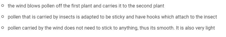 <p>They are pollinated when:</p><ul><li><p>the &quot;wind blows pollen off the first plant&quot; and &quot;carries it to the second plant&quot;.</p></li><li><p>pollen carried by the wind &quot;does not need to stick to anything&quot;, thus its smooth. It is also &quot;very light&quot;.</p></li></ul>