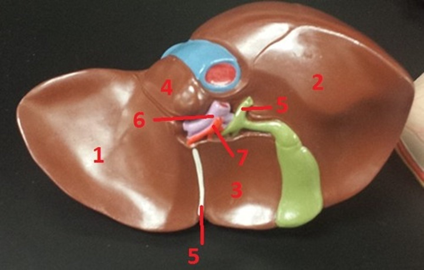 <p>7</p>