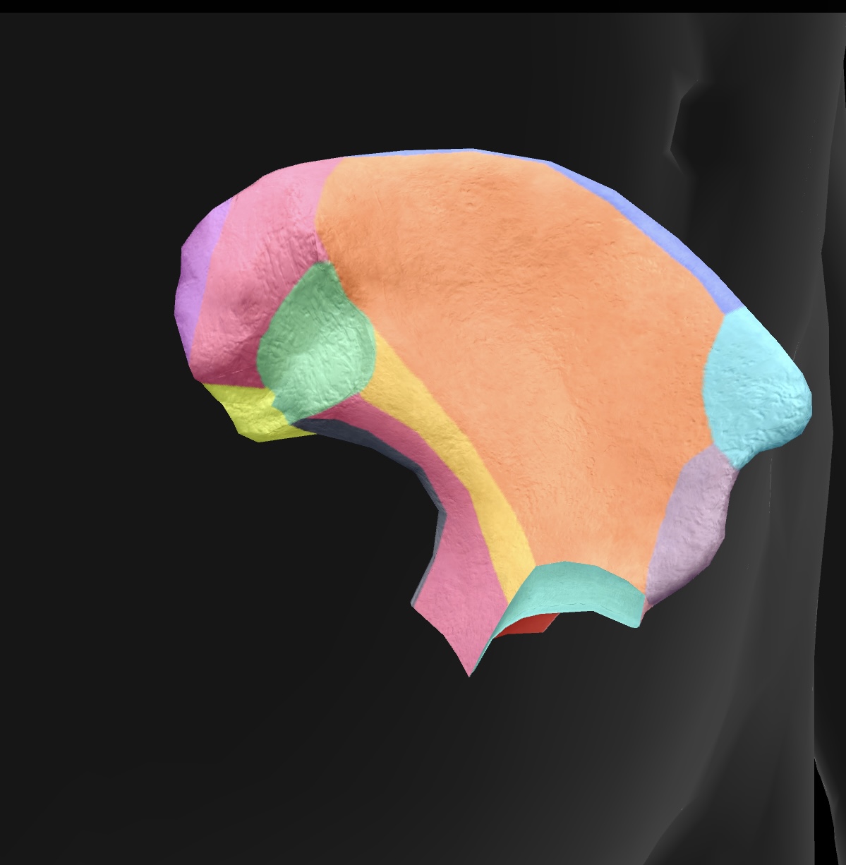 <p>lateral upper projection of the ilium, serving as an important landmark for muscle attachment and pelvic alignment. </p>