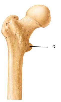 <p>Nom et caractéristiques de ce relief ?</p>