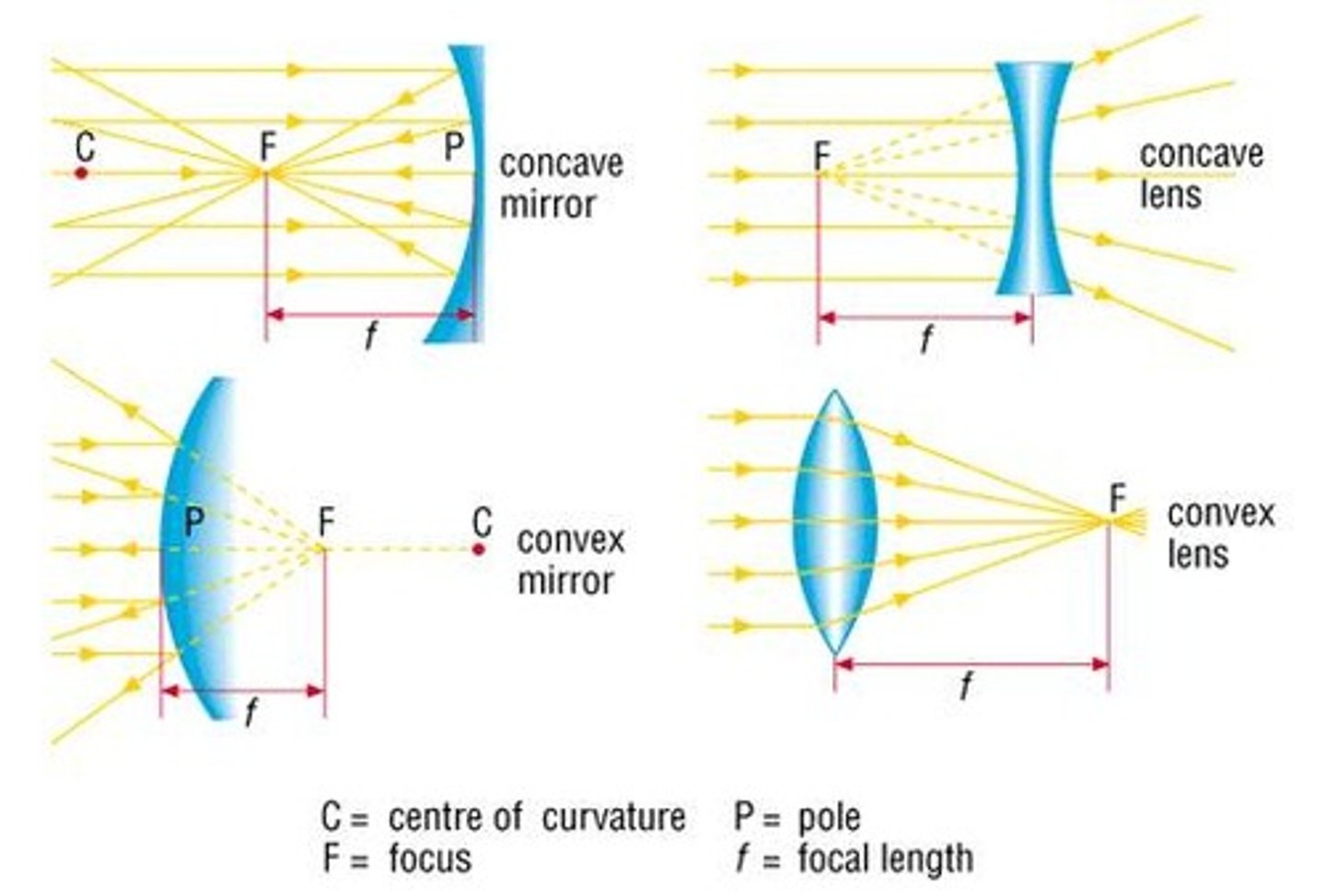 <p>image is formed at the PF , where the rays appear to converge (come together) - dist between centre of wave and PF is the focal length f</p><p>middle ray is not refracted and this is the principal axis</p><p>to increase power : shorter f length / refracts light stronger</p><p>make the lens more curved or change material with a greater refractive index</p>