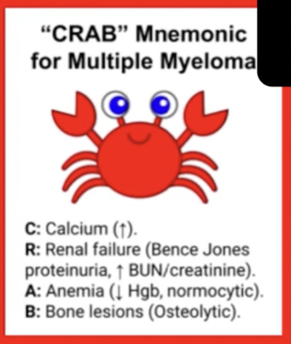 <p>hyperCalcemia</p><p>Renal dysfunction</p><p>Anemia</p><p>Bone (lytic lesions, osteoporosis, pain)</p>