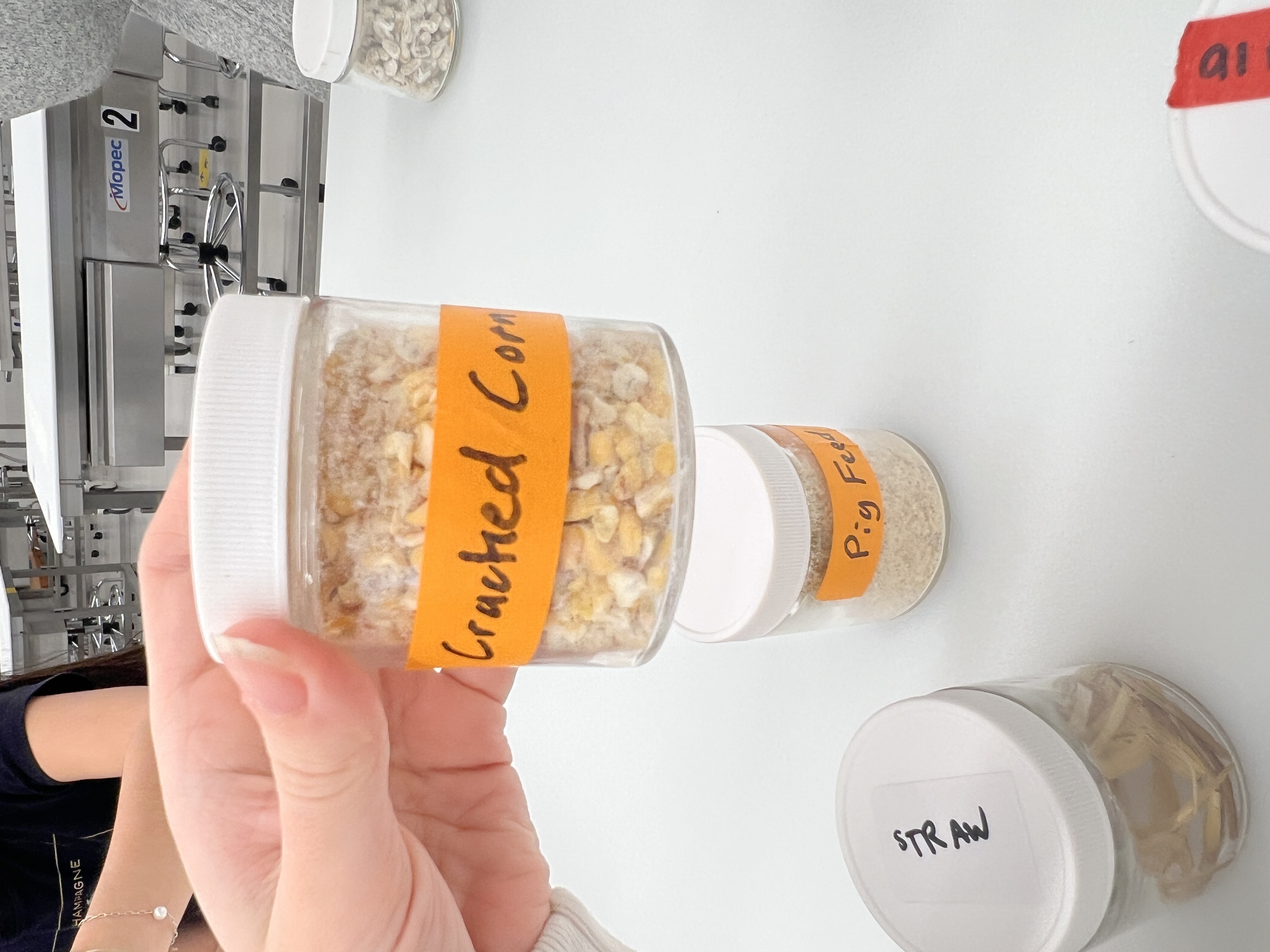 <ul><li><p>IFN # and category: 4 high energy concentrate</p></li><li><p>AAFCO category: grain product</p></li><li><p>appearance: corn with cracks in it, not flat like the steam flaked corn</p></li></ul><p></p>