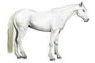 <p>What color is this?</p>