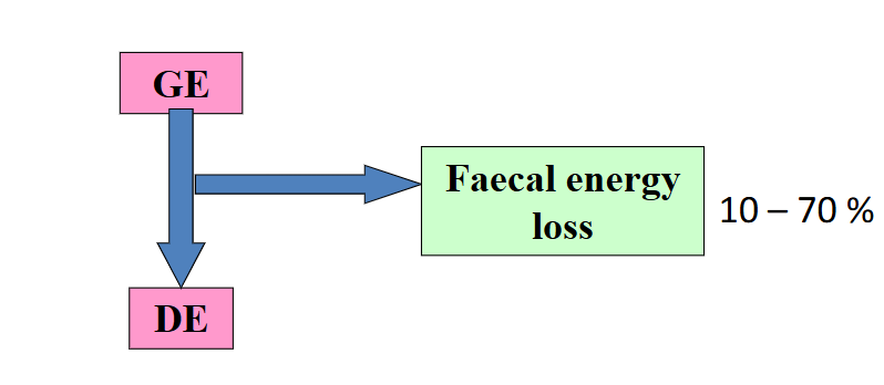 <p>amount of energy digested </p><p>calculated from faeces lost </p><p>GE-faecal energy loss = digestible energy </p>