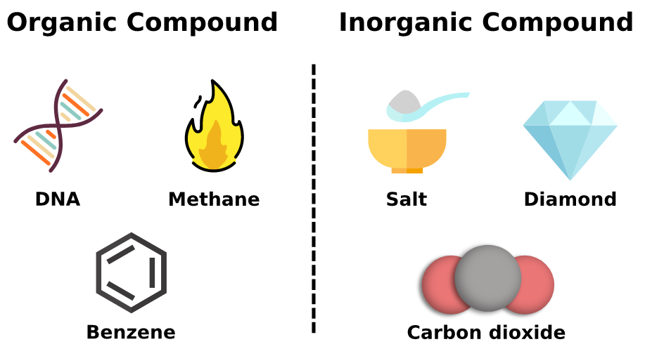 <p>● contain carbon (except for carbon dioxide) •● aka macromolecules - made up of hundreds or thousands of atoms o individual units: monomers ● Types: proteins, carbohydrates, lipids, nucleic acid</p>