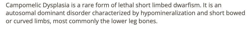 <p>c) campomelic dysplasia</p>