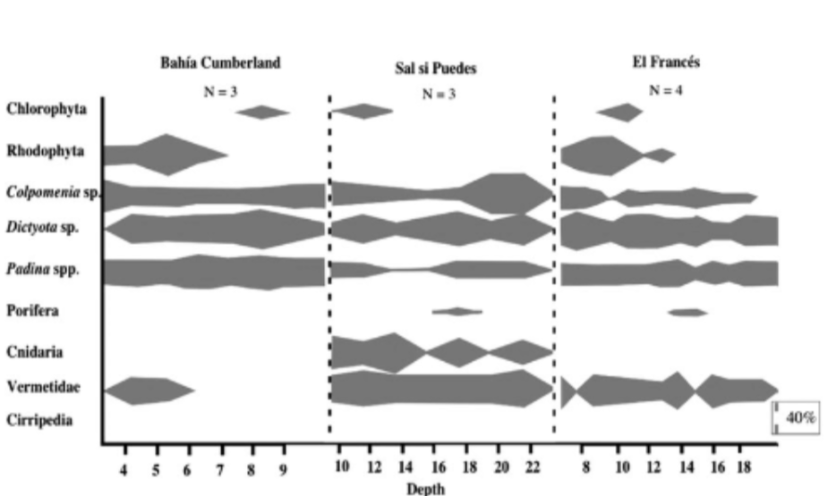 <p>Explain how a kite diagram measures zonation</p>