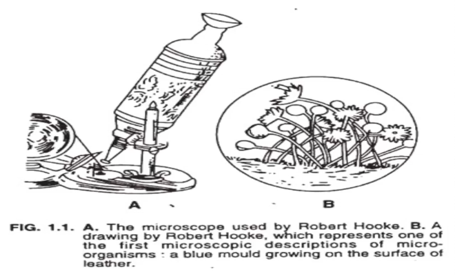 <p>Compound microscope; 1678</p>