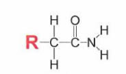 carbonyl group with nitrogen on one side and hydrocarbon carbon on the other