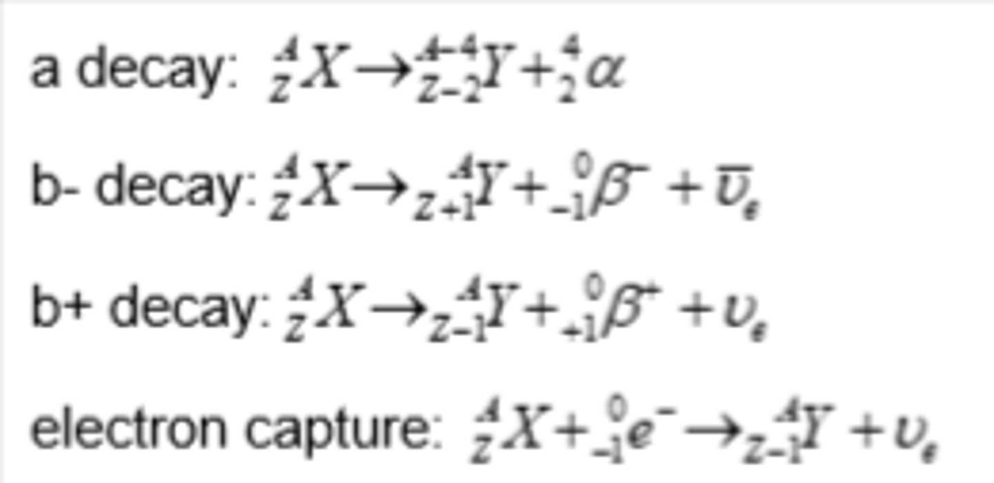 <p>BETA-PLUS EMISSION or ELECTRON CAPTURE</p><p>- BETA-PLUS: proton changes into a neutron emits a β⁺ particle (a positron) and an electron neutrino</p><p>- ELECTRON CAPTURE: an orbiting electron is taken in by the nucleus and combined with a proton causing the formation of a neutron and neutrino</p><p>Both cause:</p><p>- the neutron number increases by 1</p><p>- the proton number decreases by 1</p>