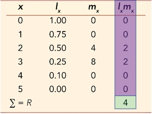 <ul><li><p><strong>l<sub>x</sub>m<sub>x</sub></strong> represents the offspring produced at each age per female</p></li><li><p><strong>R</strong> is the t<strong>otal number of offspring</strong> produced per individual</p></li></ul><p></p>