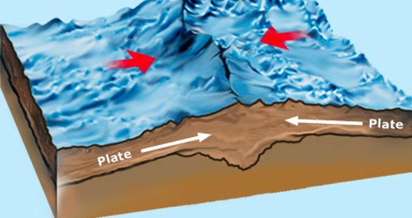 <p>Activity = shallow to middle, moderate magnitude earthquakes with usually no volcanic activity</p><p>Create = plateaus and fold mountains (Himalayas)</p>