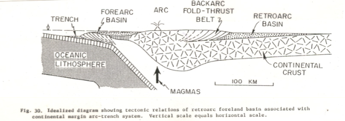<p>Montana is mostly one of these. Sediment basin formed parallel to a mountain belt. Would see mostly sedimentary rocks here (sandstone, limestone, chert)</p>