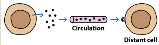 <p>target cell is in distant part of the body</p>