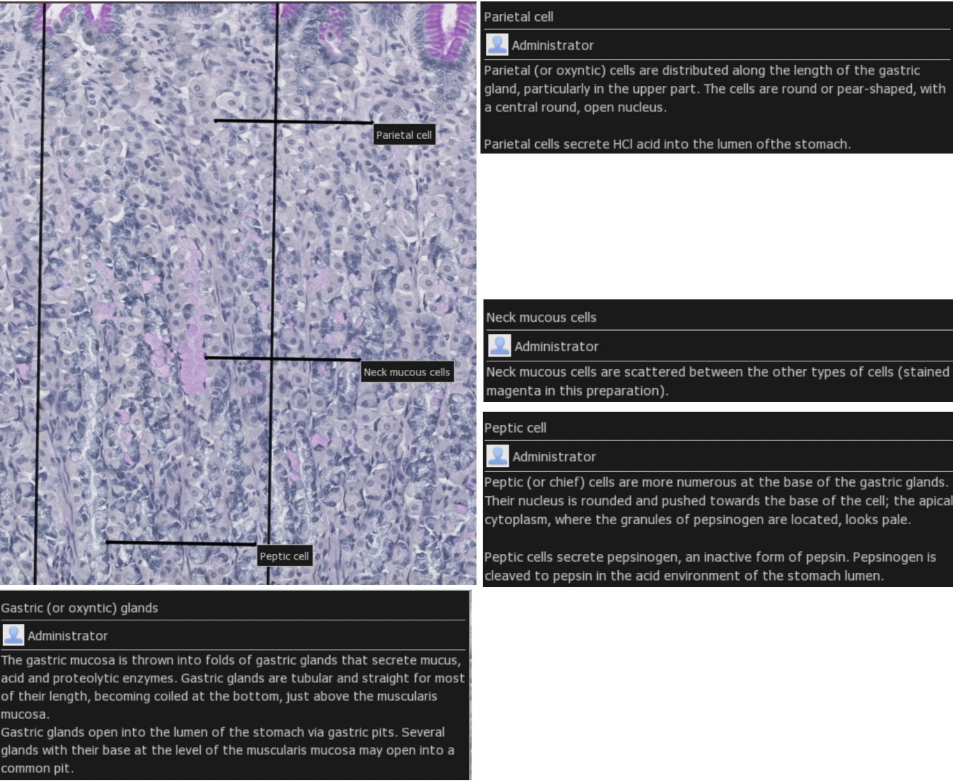 knowt flashcard image