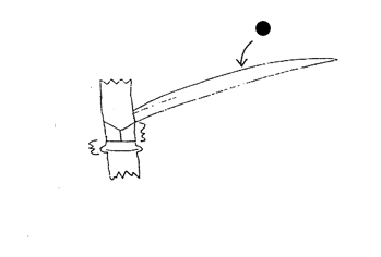 <p>Part of grass?</p>