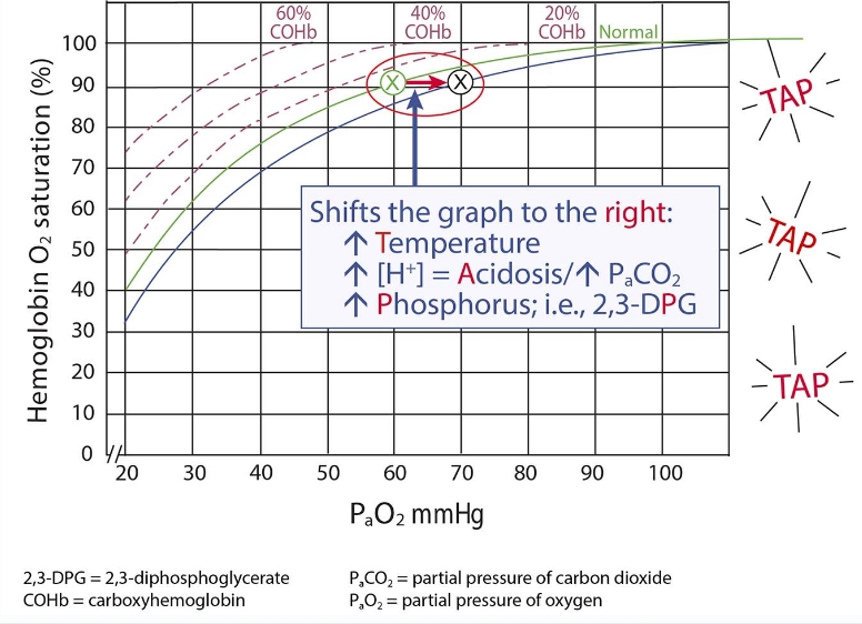 <ol><li><p>Increased temperature</p></li><li><p>Increased H+ (acidosis, increased pCO2)</p></li><li><p>Increased phosphorus (i.e. 2,3-DPG)</p></li></ol><p></p>