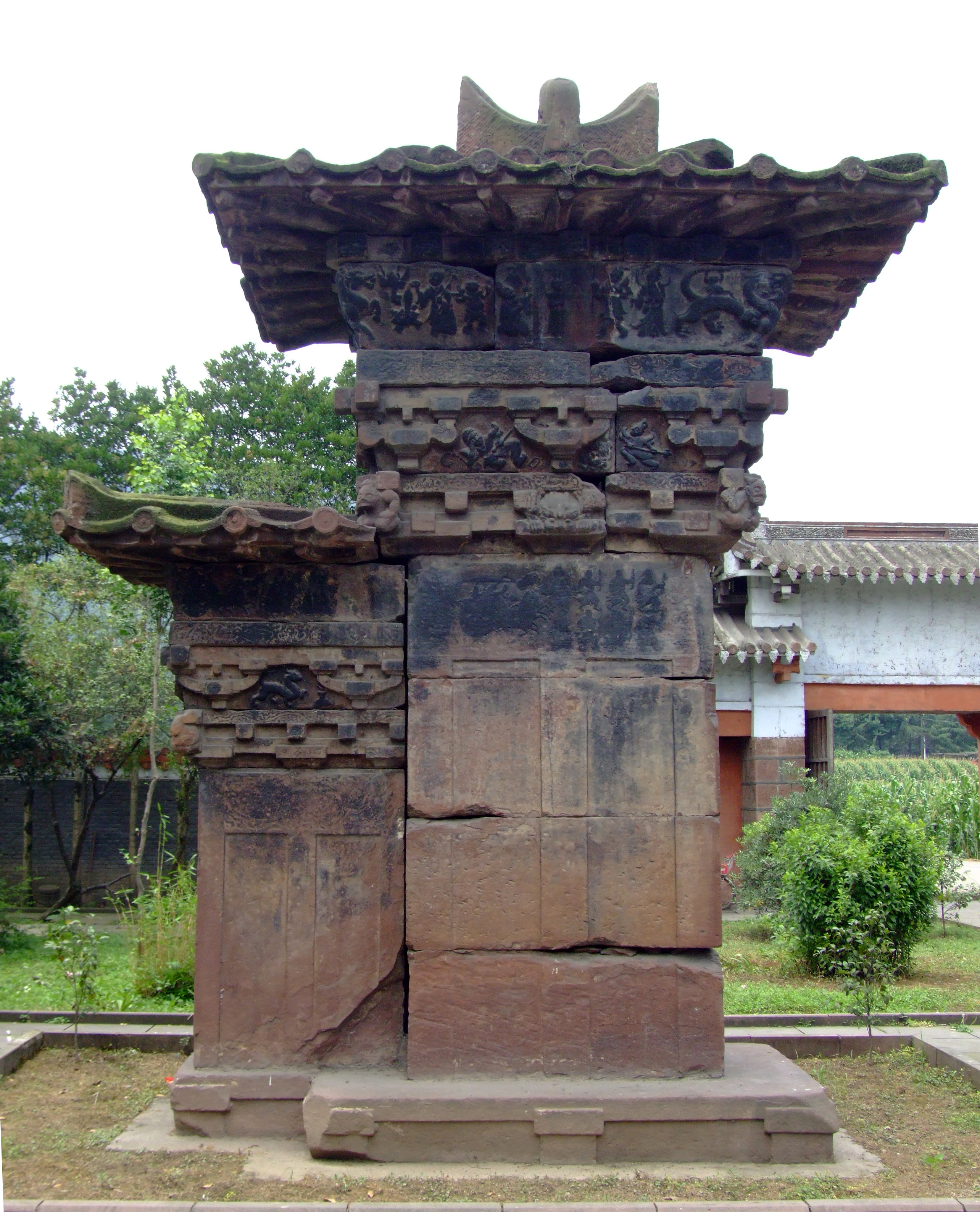 term image