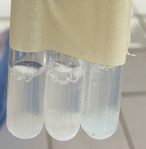 <p>(Part 4) Identify the chemicals that were added to each test tube to produce the following color reactions (left to right)?</p>