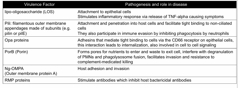 <p>-infects columnar or cuboidal epithelium</p><p>-uses virulence factors to adhere, invade, and multiply</p><p>-immune evasion through antigenic and phase variation</p><p>-sRNA networks help adapt to stress and enhance survival</p>