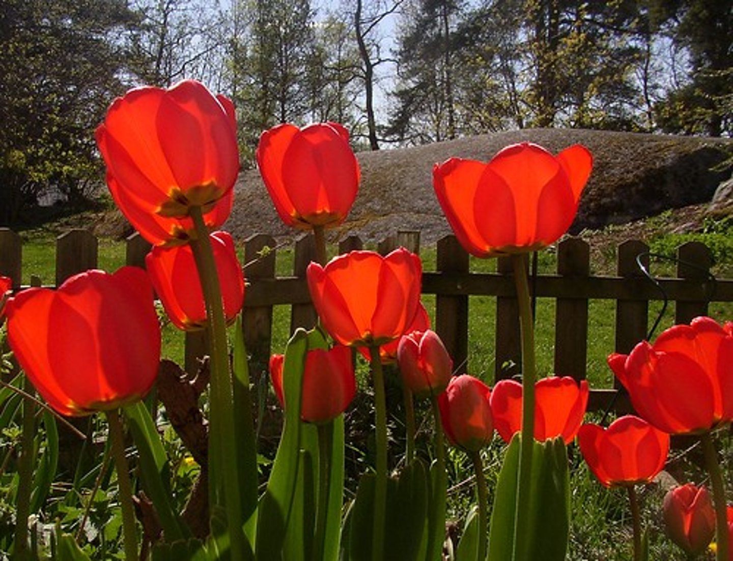 <p>April</p>