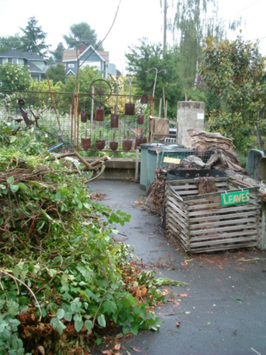 <p>A collaborative effort to integrate agricultural production with food distribution to enhance the economic, environmental, and social well-being of a particular place</p>