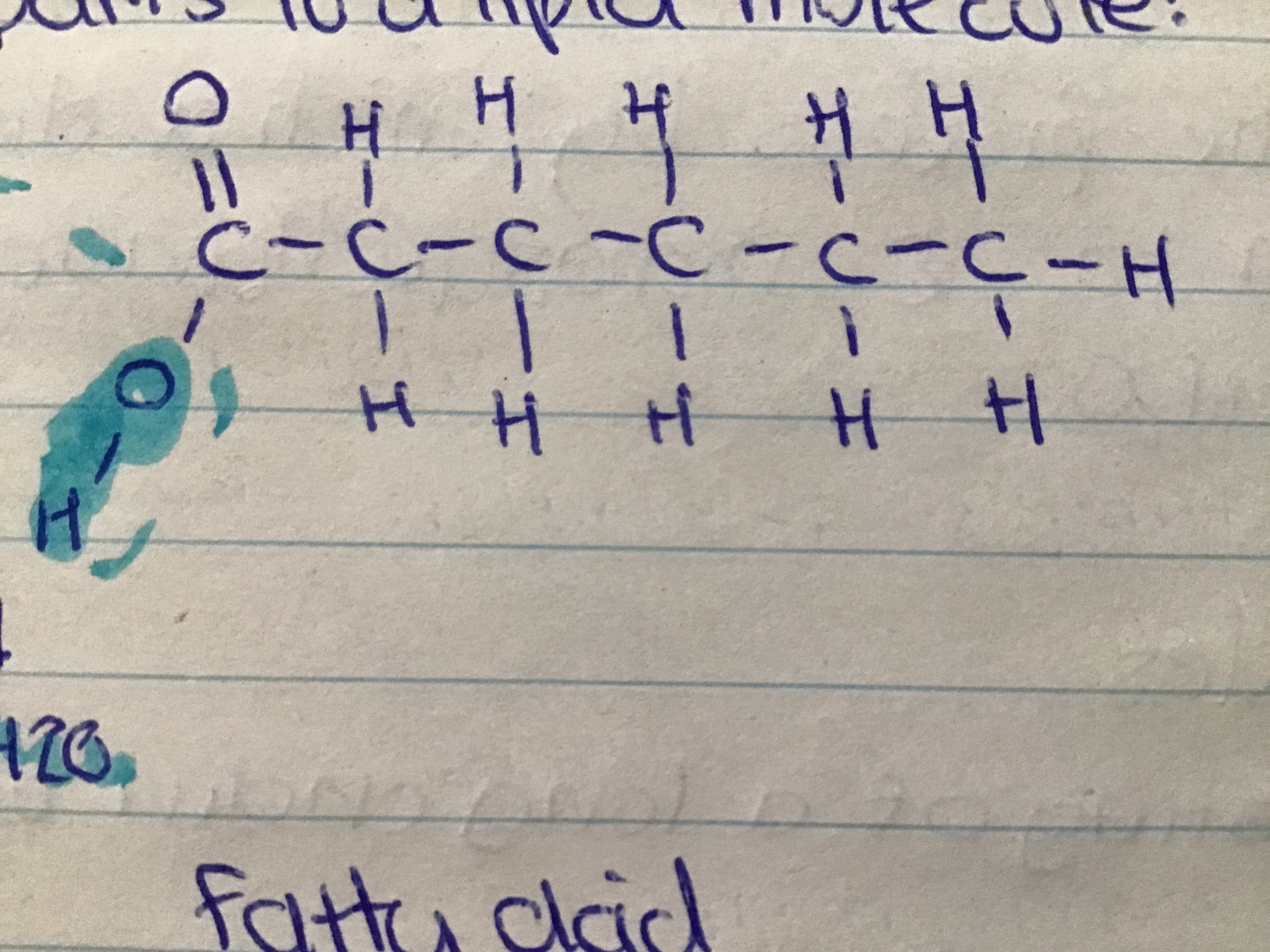 a chain of carbon and hydrogen atoms with a carboxyl group at one end