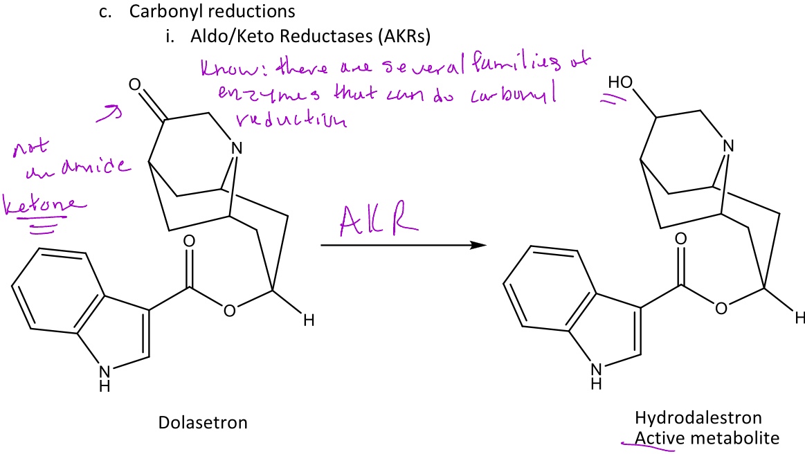 <p>A group of reactions in phase 1 metabolism involving the reduction of carbonyls (aldehydes and ketones) into alcohols </p><p>Ex. dolasetron will undergo a carbonyl reduction with <em>aldo/keto reductase (AKR)</em> which converts the ketone into an alcohol</p>