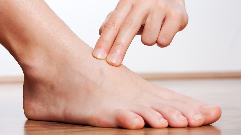 <p>the top of the foot</p>