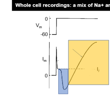 <p>Walk through this whole cell recording </p>