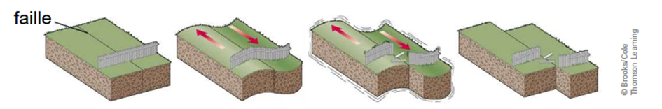 <p><span style="font-family: "Calibri", sans-serif;"><span>-</span></span><span style="font-family: "Times New Roman"; line-height: normal; font-size: 7pt;"><span>&nbsp;&nbsp;&nbsp;&nbsp;&nbsp;&nbsp;&nbsp;&nbsp;&nbsp; </span></span>Très longue préparation: accumulation de contraintes tectonique pdt des années</p><p class="MsoListParagraphCxSpLast"><span style="font-family: "Calibri", sans-serif;"><span>-</span></span><span style="font-family: "Times New Roman"; line-height: normal; font-size: 7pt;"><span>&nbsp;&nbsp;&nbsp;&nbsp;&nbsp;&nbsp;&nbsp;&nbsp;&nbsp; </span></span>Relâchement des contraintes en quelques secondes = séisme</p><p><span style="font-family: "Aptos", sans-serif; line-height: 115%;"><span>Réajustement des contraintes -> puis le cycle continu</span></span></p>