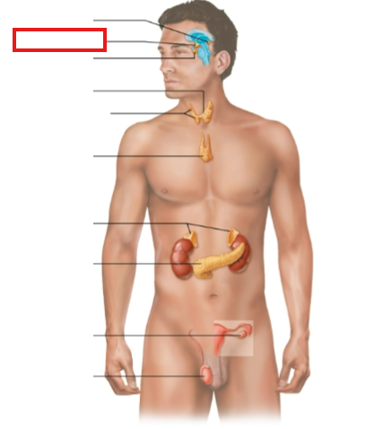 <p>What structure is highlighted?</p>