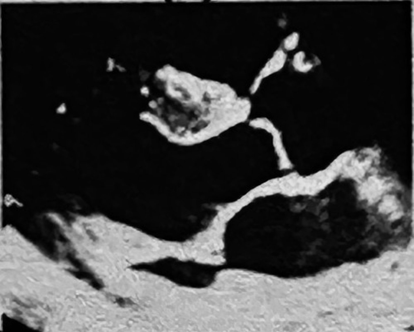 <p></p>