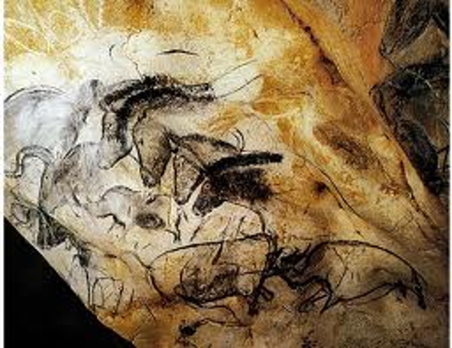 <p>what is this?</p>