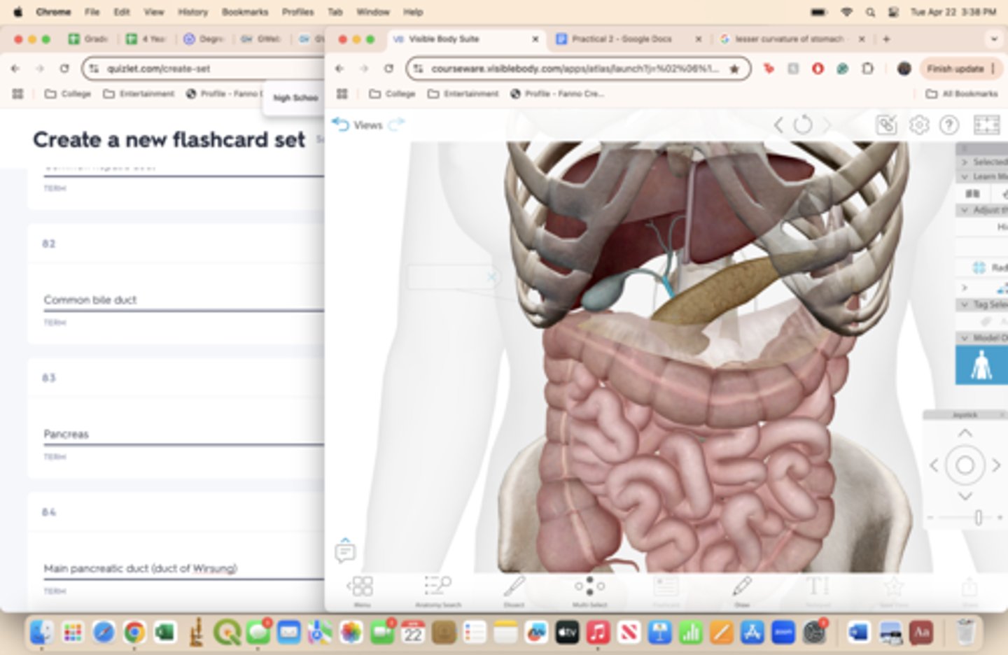knowt flashcard image