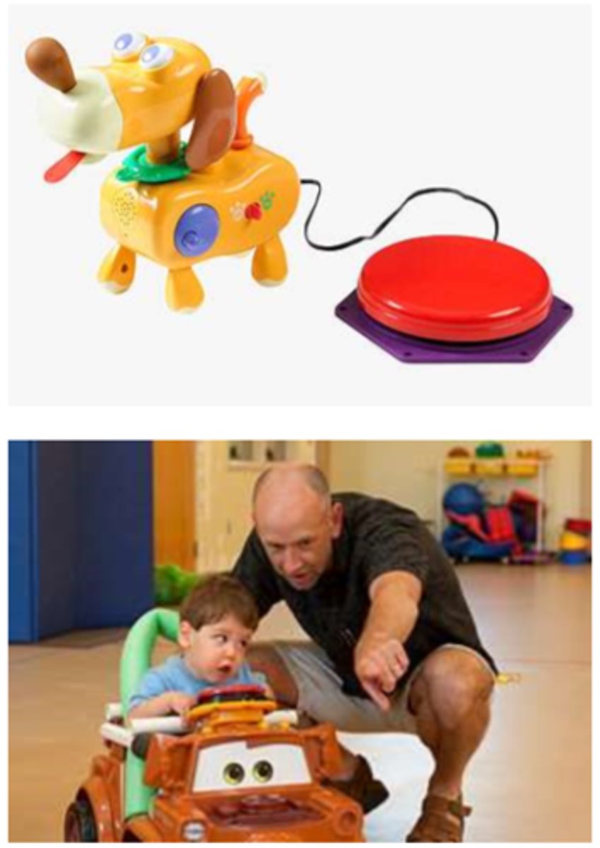 <p>CONSIDER:</p><p>- early switch introduction</p><p>- adaptive equipment &amp; developmental planning model</p><p>- compensation vs normalization</p>