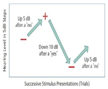 <ul><li><p><span style="color: rgb(0, 0, 0)">If the patient responds, decrease stimulus intensity by 10 dB.</span></p></li><li><p><span style="color: rgb(0, 0, 0)">If the patient does not respond, increase stimulus intensity by 5 dB.</span></p></li><li><p><span style="color: rgb(0, 0, 0)">Threshold is determined to be the level where 2 out of 3 correct responses are obtained at the lowest ascending test level.</span></p></li><li><p><span style="color: rgb(0, 0, 0)">The starting intensity for the subsequent frequency will be your previous frequency’s threshold + 10 dB.</span></p></li></ul><p></p>