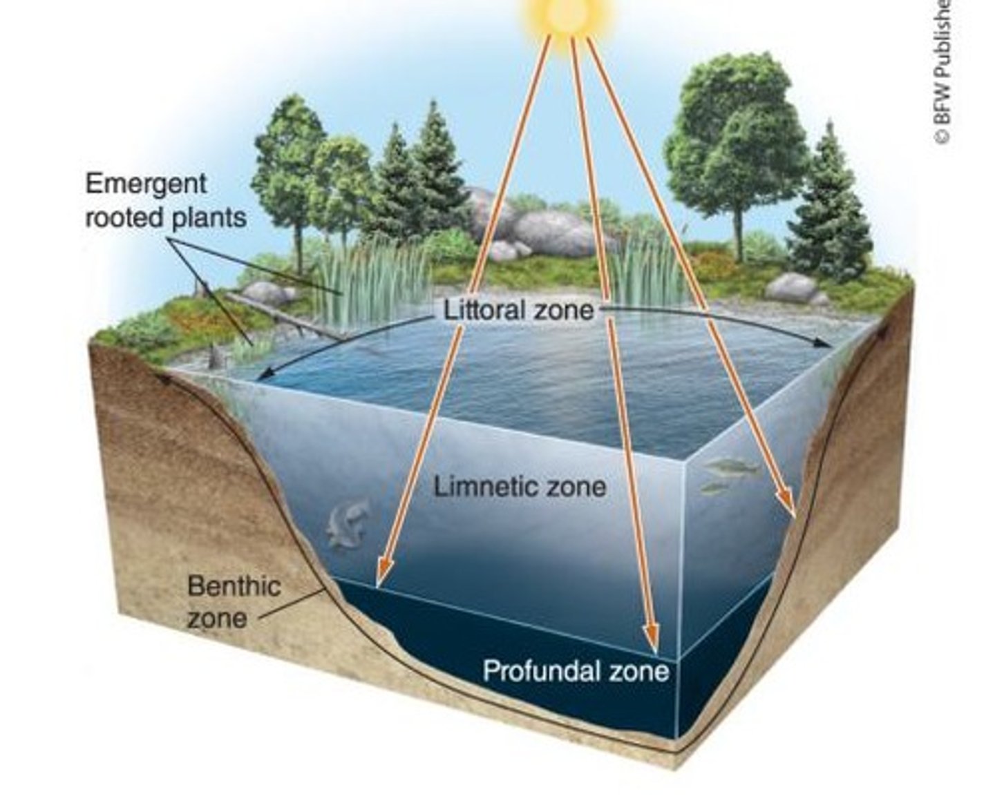<p>Streams, rivers, ponds, and lakes; major sources of drinking water.</p>