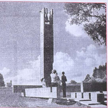 term image