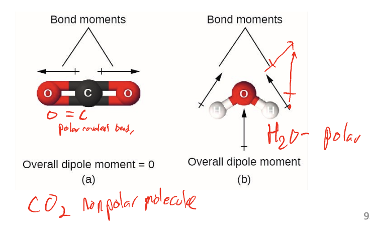 <p>molecules with no lone pairs are nonpolar; linear, trigonal planar, tetrahedral, trigonal bipyramidal, octahedral</p>